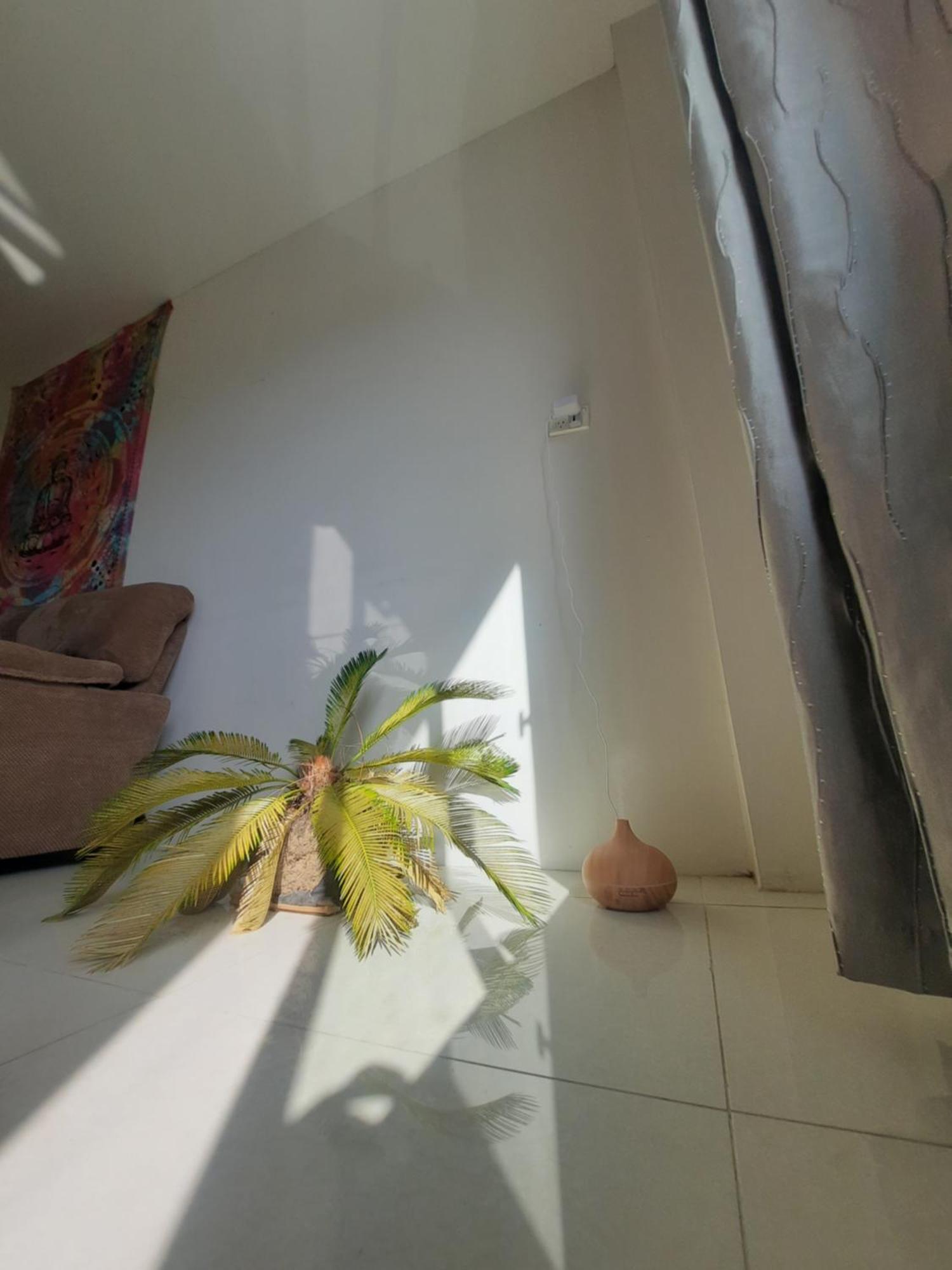 Bula Bliss With Sunset View Apartment นาดี ภายนอก รูปภาพ